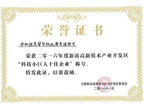 科技小巨人十佳企业